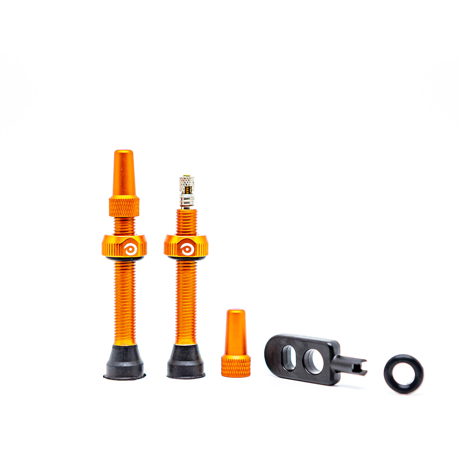 TAV - 44 mm - Round base ORANGE